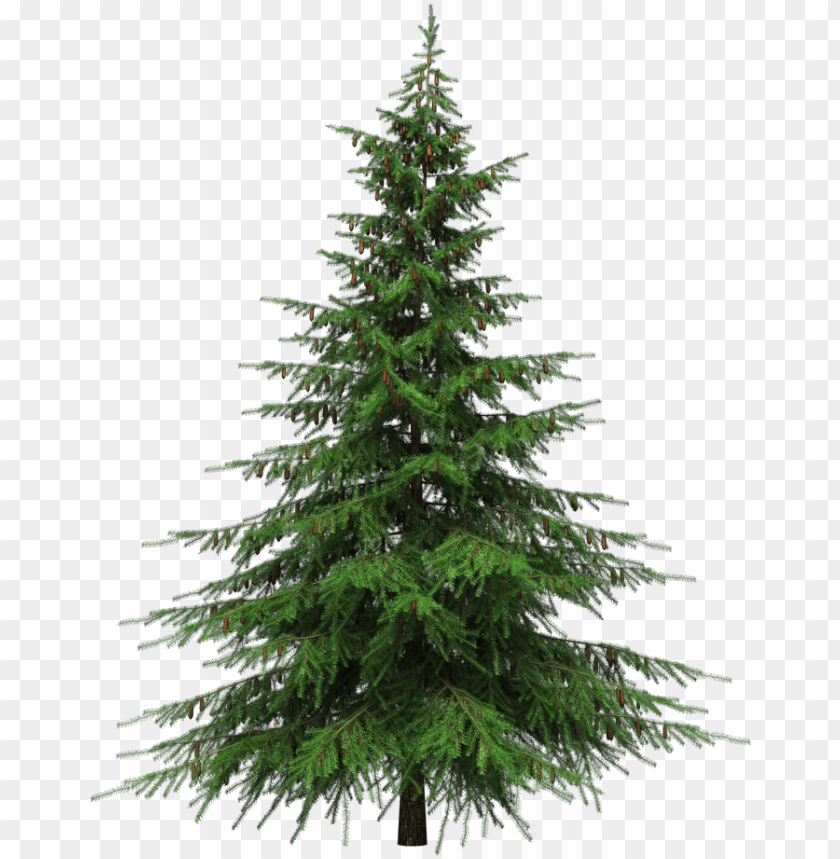 Real Christmas Tree Png Natural Cut Artificial Christmas Trees Png Image With Transparent Background Toppng