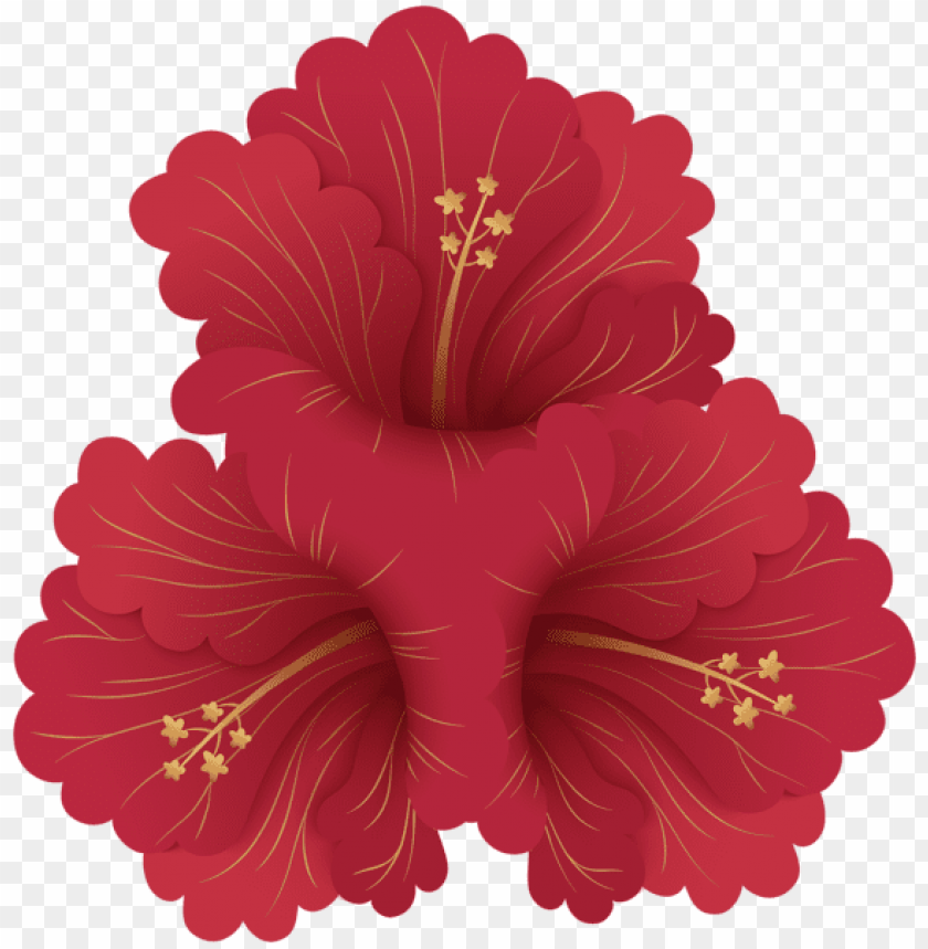 Free download | HD PNG PNG image of red flowers with a clear background ...