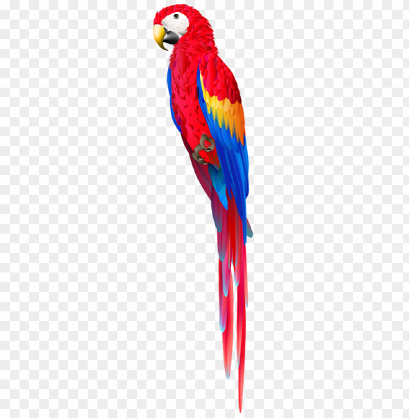 download red parrot png images background toppng red parrot png images background toppng