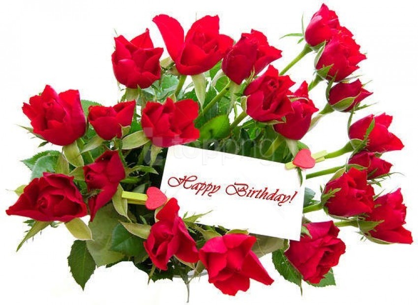 Red Roses Happy Birthday Card Background Best Stock Photos Toppng