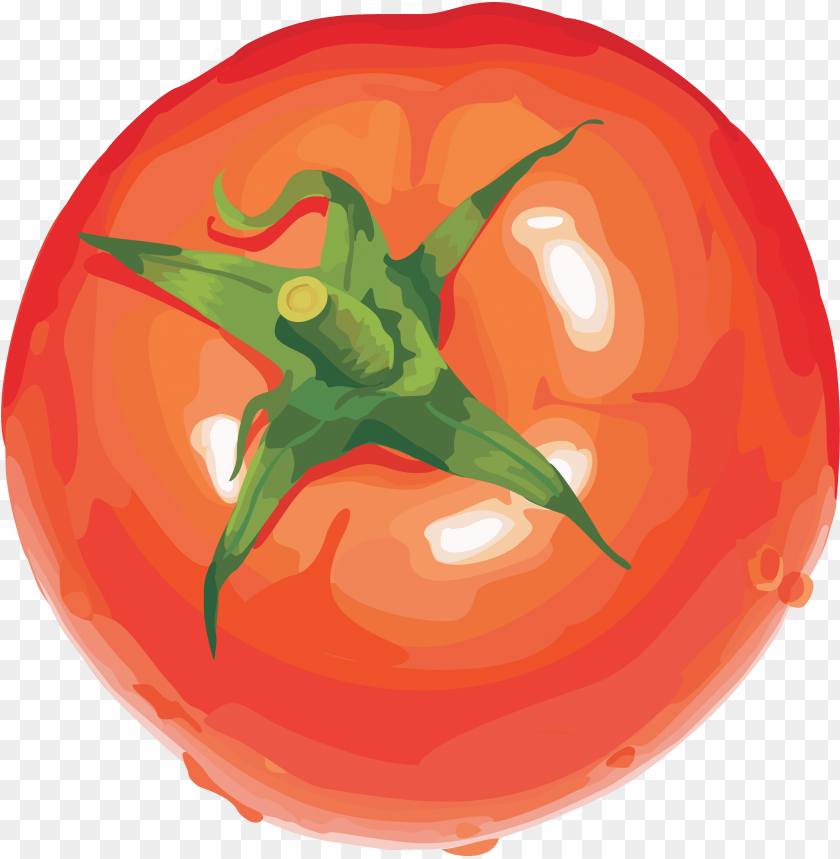 Free Download HD PNG Red Tomatoes Clipart Png Photo TOPpng