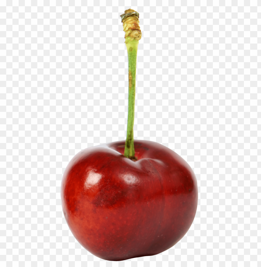 Free download | HD PNG ripe cherry PNG images with transparent ...