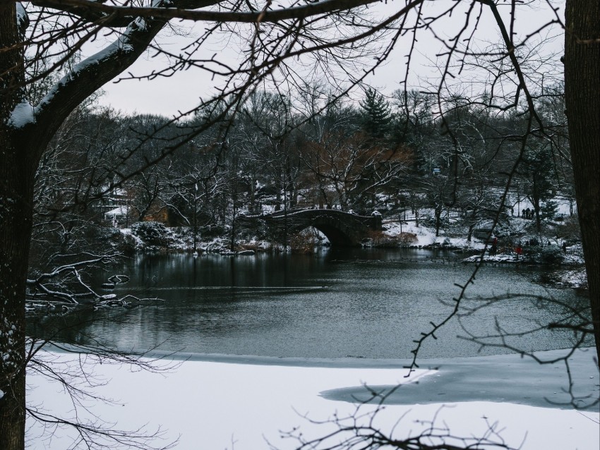 Free download | HD PNG river trees bridge branches snow park 4k ...