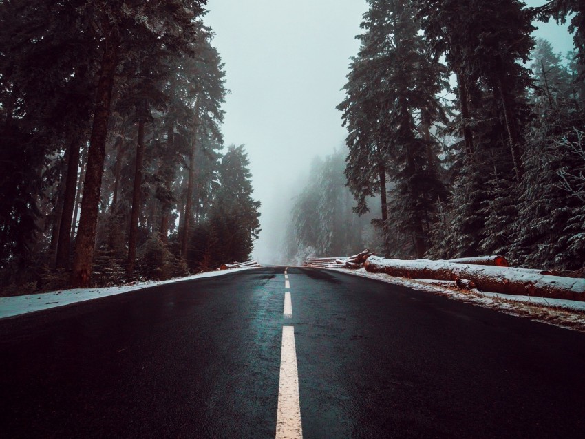 Free download | HD PNG road asphalt fog trees markings sky 4k wallpaper ...