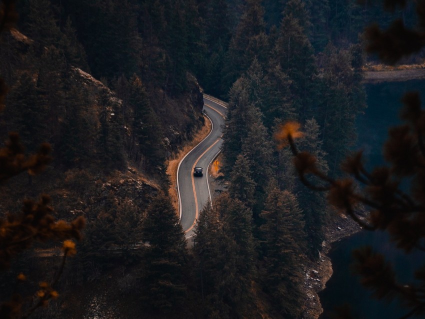 Free download | HD PNG road trees river aerial view 4k wallpaper | TOPpng