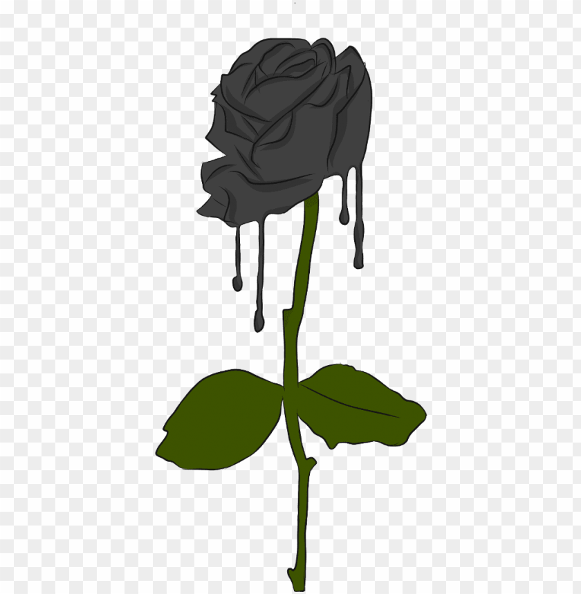 Free download | HD PNG rose black blackrose green illustratio PNG ...