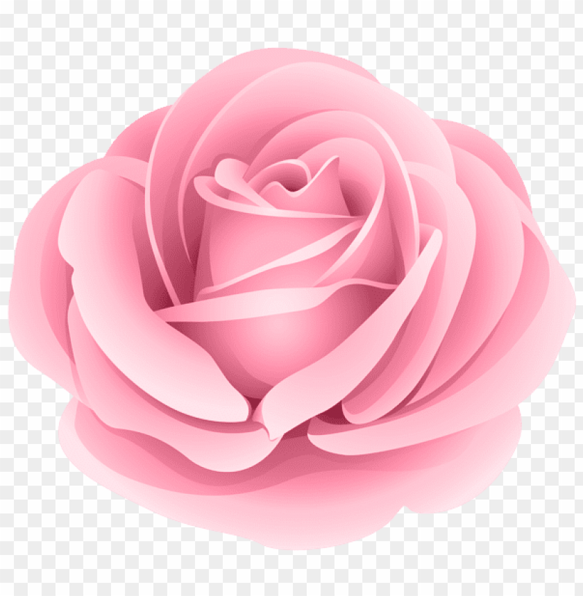 Free download | HD PNG PNG image of rose purple with a clear background ...