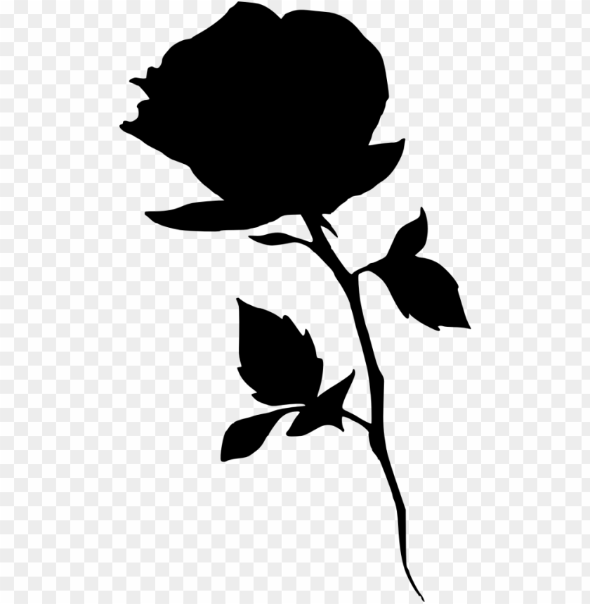 rose silhouette 11523436246pfvy8plylr