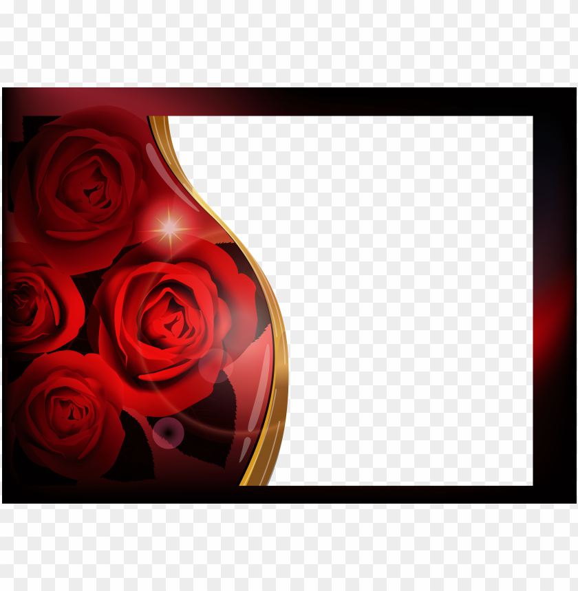 Free download HD PNG roses photo frame background best stock photos