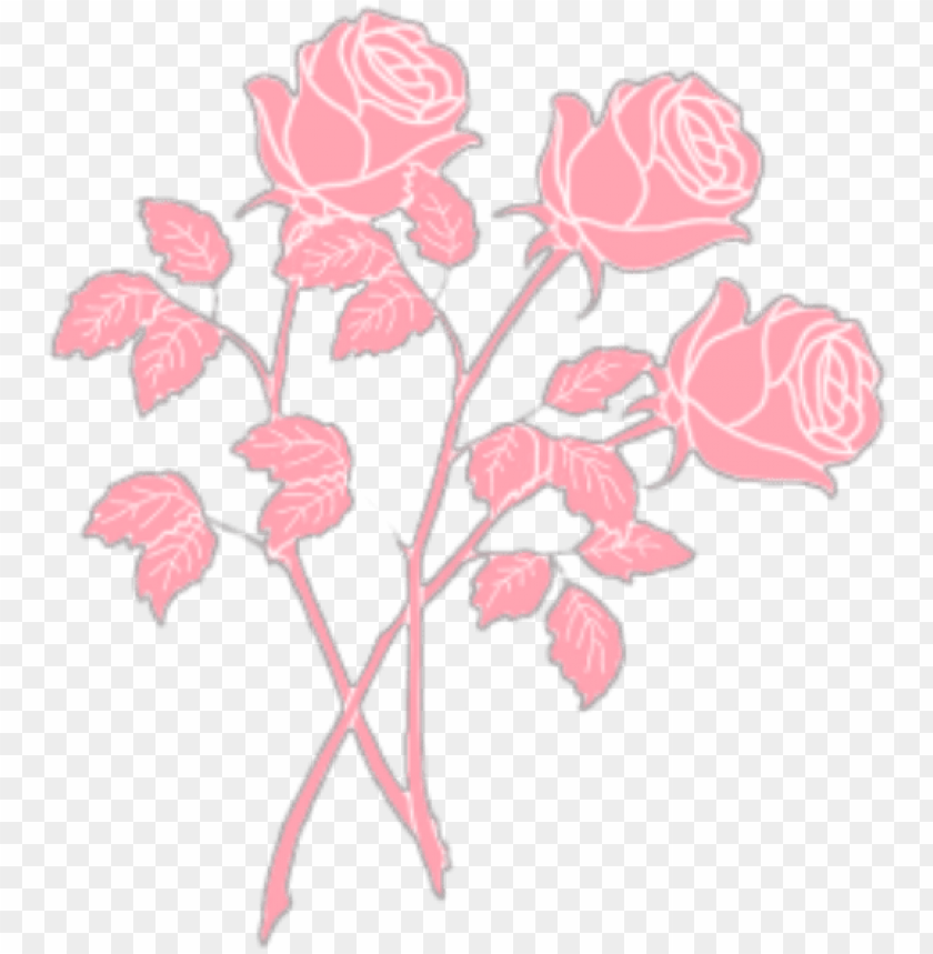 Roses Rose Pink Pastel Pastelpink Aesthetic Tumblr Pastel Pink