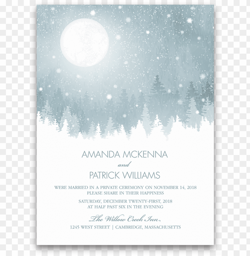 Rustic Snowflake Winter Wedding Reception Only Invite Save The