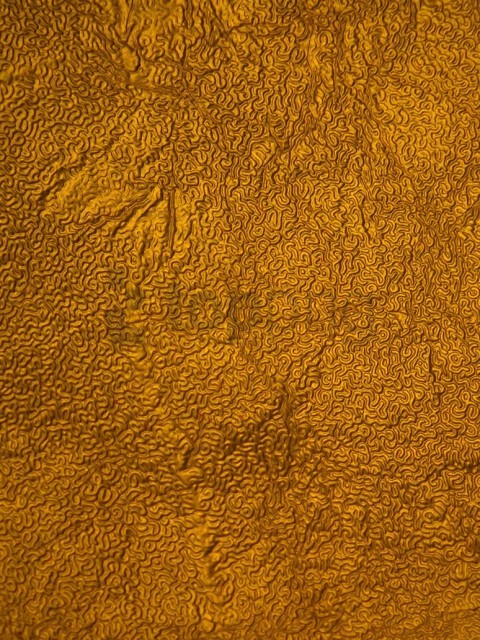 Free download | HD PNG seamless gold texture background best stock ...
