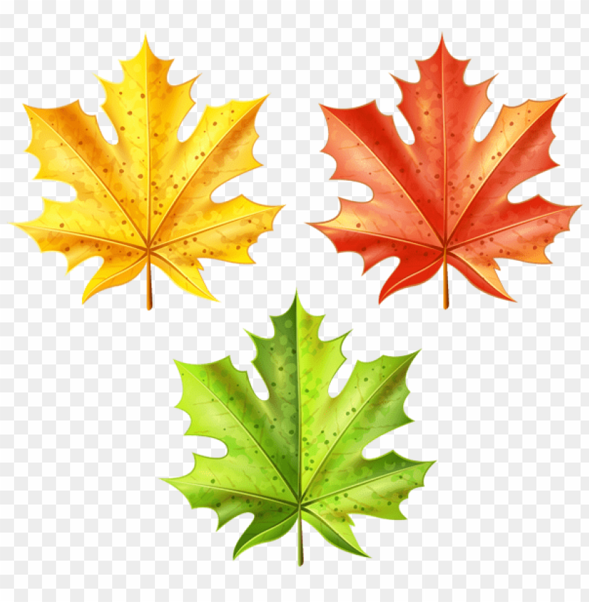 Free download | HD PNG set of autumn leaves clipart png photo - 52822 ...