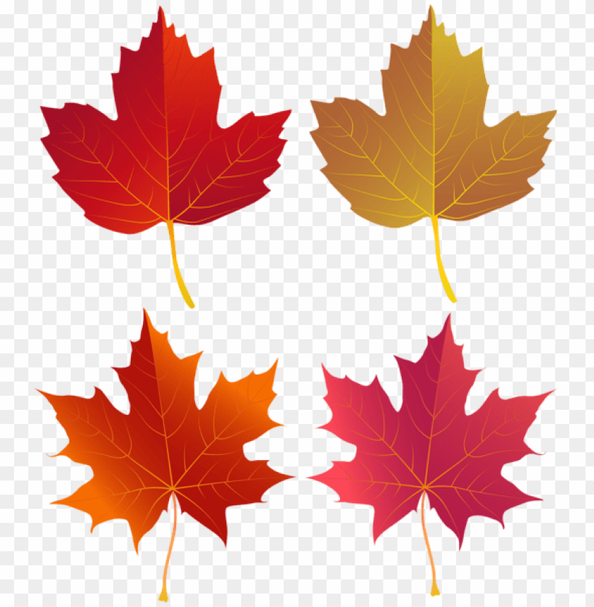 Free download | HD PNG set of autumn leaves png clipart png photo ...