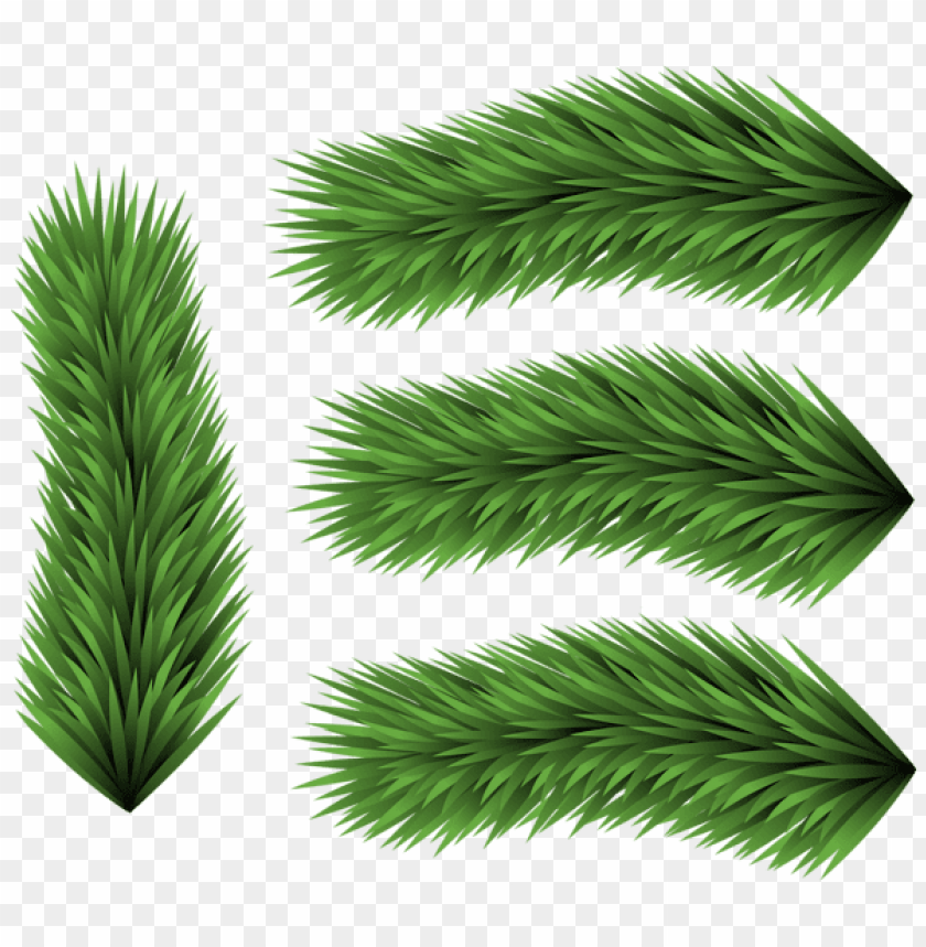 Free Download Hd Png Set Of Pine Branches Png Images Toppng