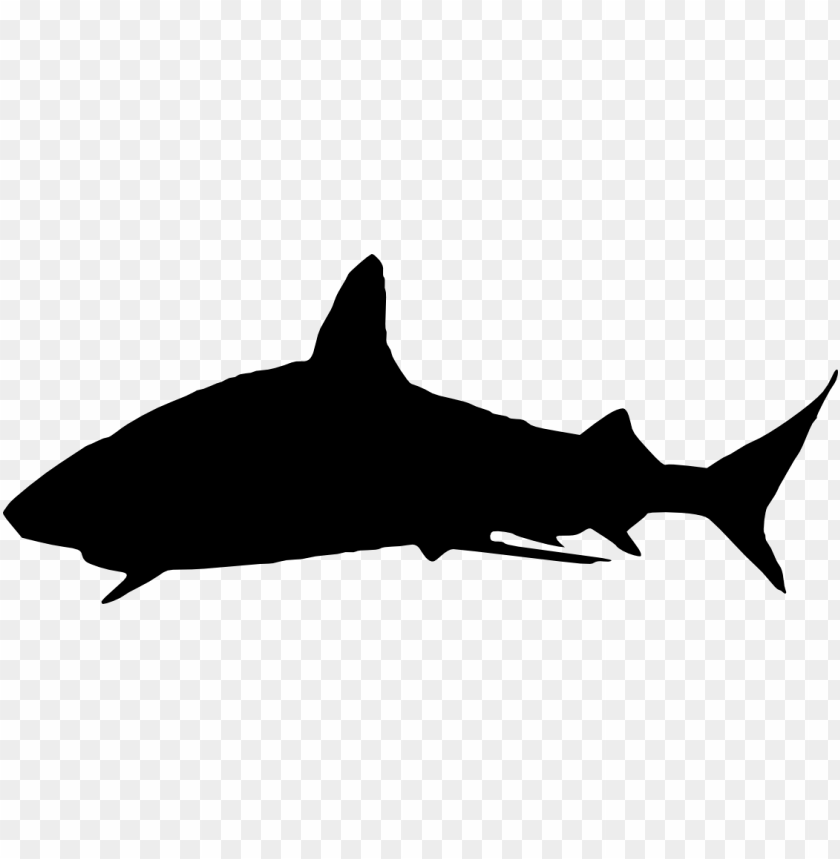 Download free PNG shark silhouette png - Free PNG Images PNG images ...
