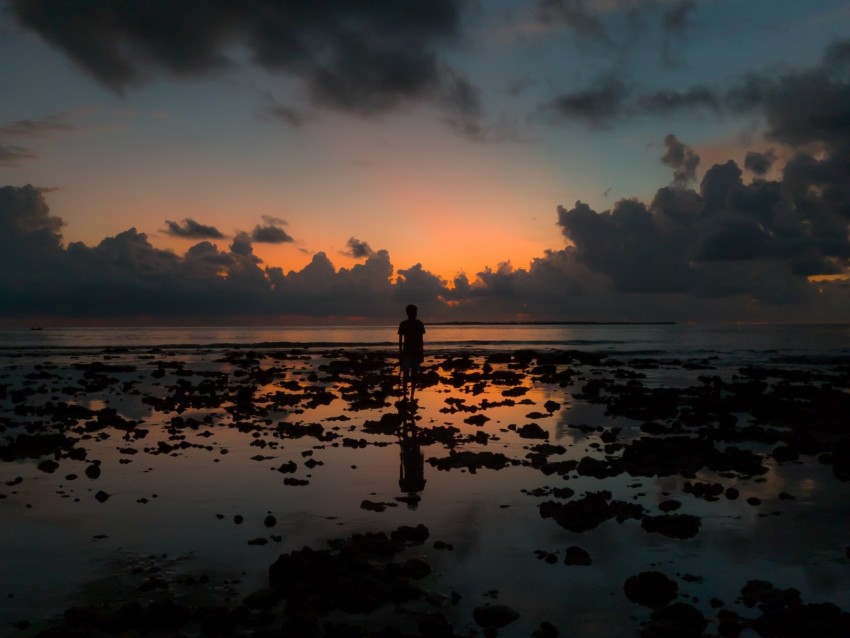 Free Download Hd Png Silhouette Ocean Sunset Horizon Clouds 4k Wallpaper Toppng Free Download Hd Png Silhouette Ocean Sunset Horizon Clouds 4k Wallpaper Toppng