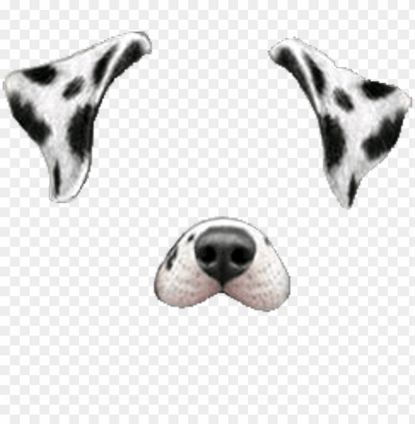 Free download | HD PNG snapchat snapchatfilter filter dogface dog face ...