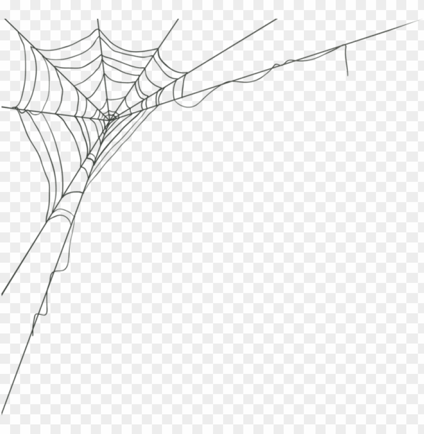 Download free PNG Download spider web corner png images background ...