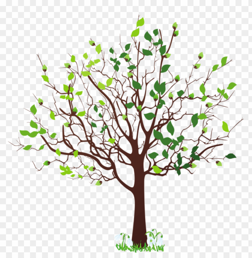 Free download | HD PNG PNG image of spring tree with snowdropspicture ...