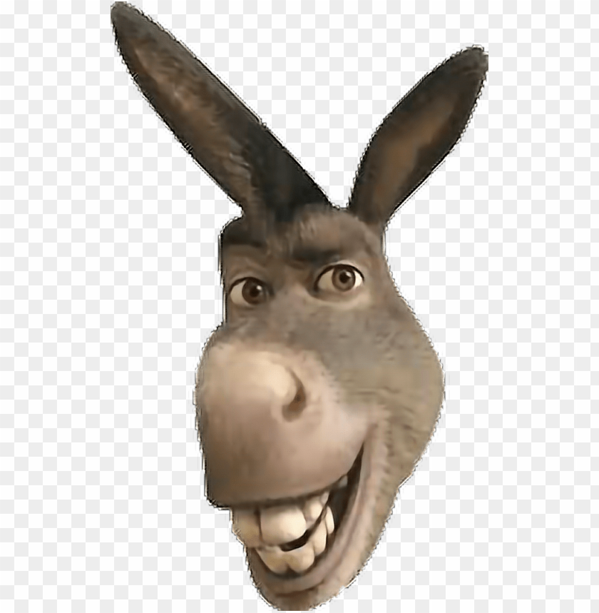 Download sticker donkeyface freetoedit report - donkey from shrek head