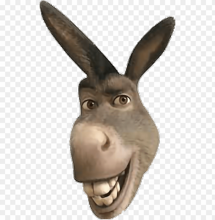 Free download HD PNG sticker donkeyface freetoedit report donkey from