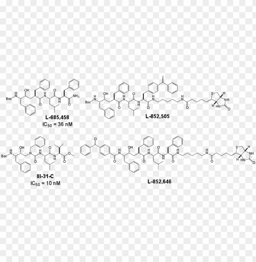 Free download | HD PNG structures of the active site directed secretase ...