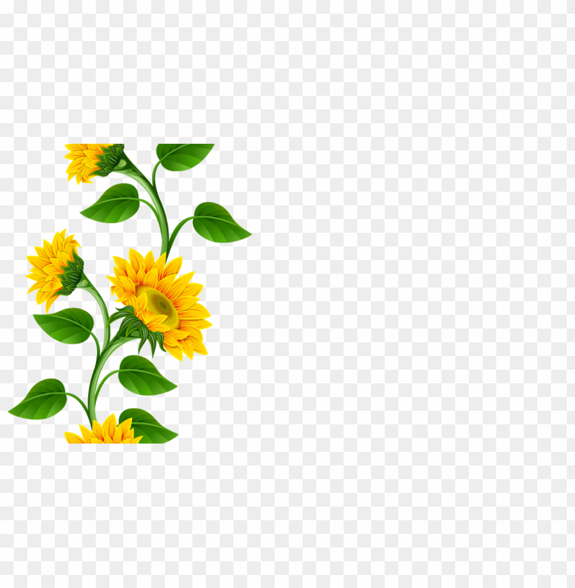 Free download | HD PNG sunflower border png PNG transparent with Clear ...