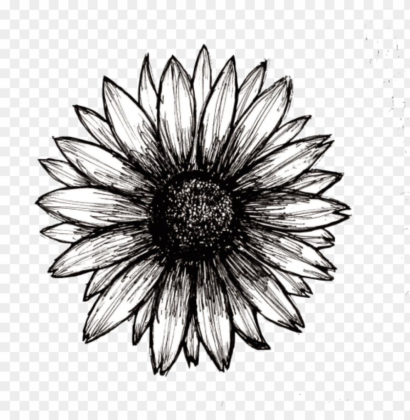 Free Free 161 Sunflower Moon Svg Free SVG PNG EPS DXF File