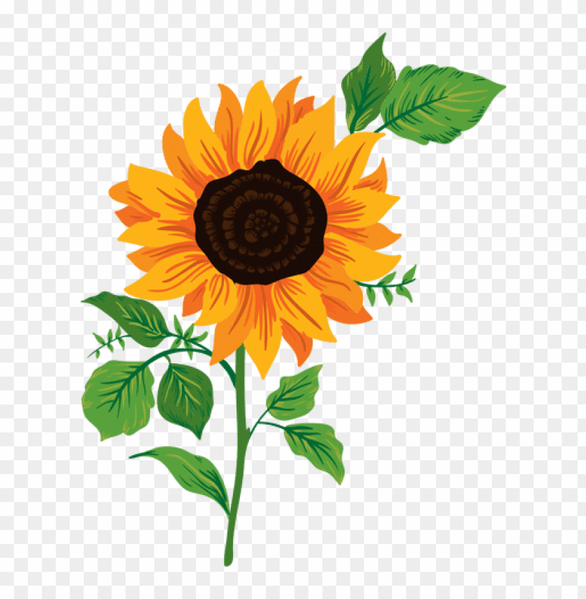 Sunflower Vector Png Png Image With Transparent Background Toppng