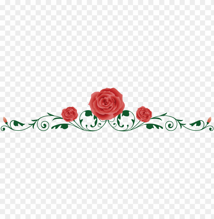 Red Rose Vine Border Png Clip Art Library | My XXX Hot Girl