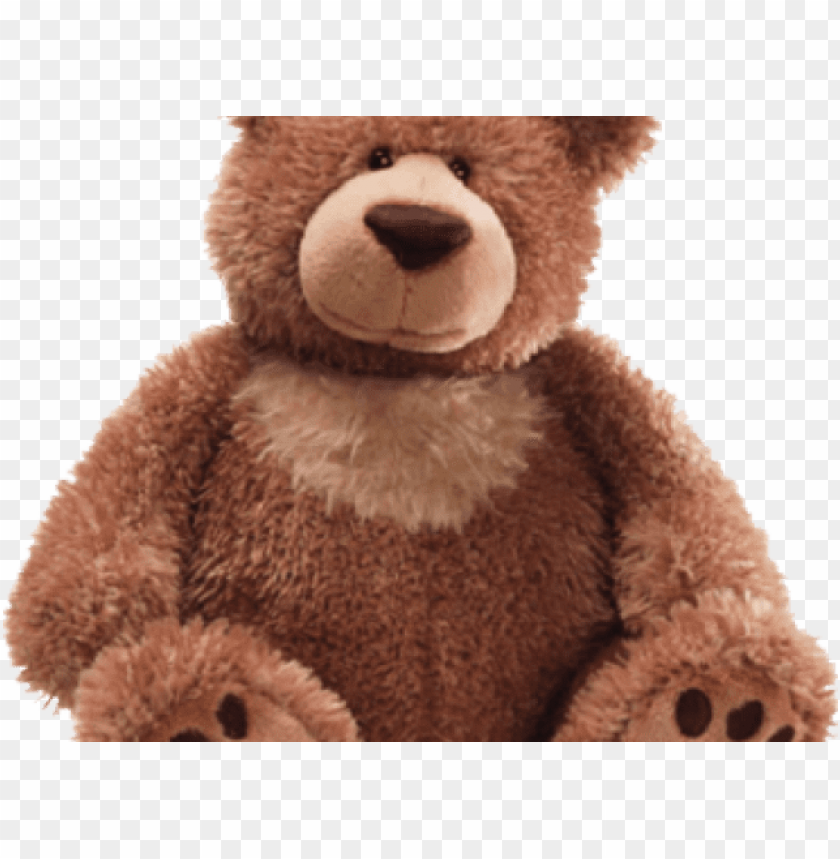 teddy bear transparent