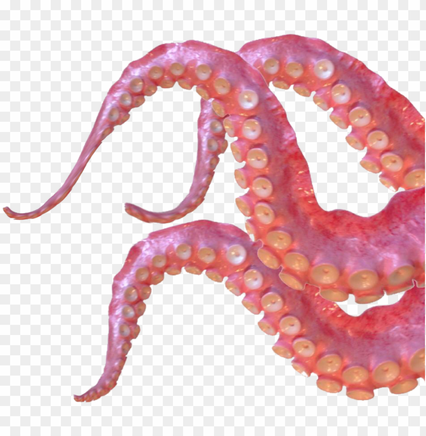 Tentacles Sticker Giant Pacific Octopus Png Image With Transparent Background Toppng - roblox giant donation image png