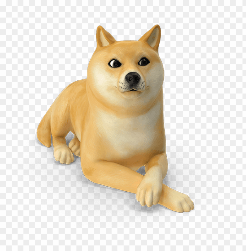 Download the world through animal - shiba inu png - Free PNG Images