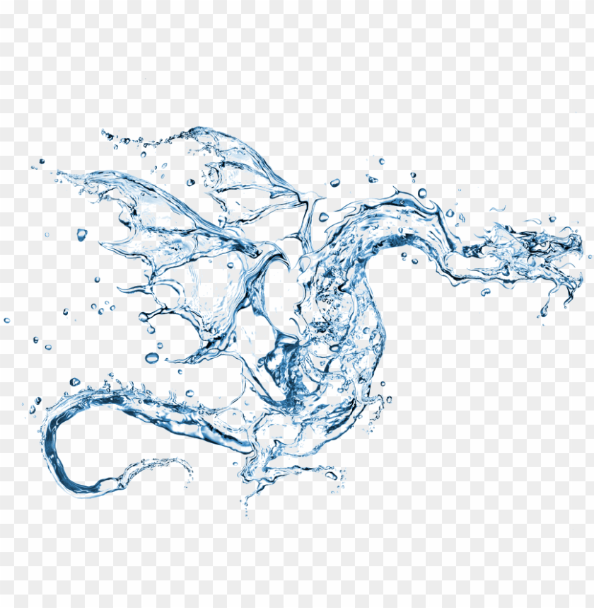 Free Download Hd Png The Year Of The Yang Water Dragon Chinese Water