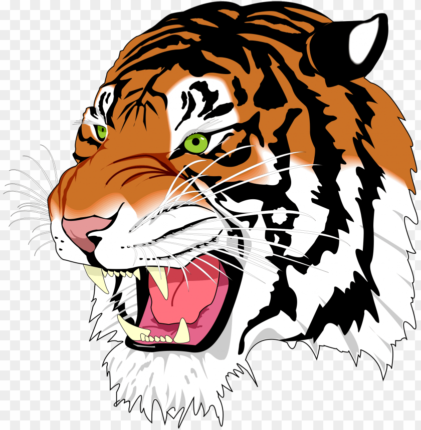 Tiger Clipart Logo Frames Illustrations Hd Images Svg