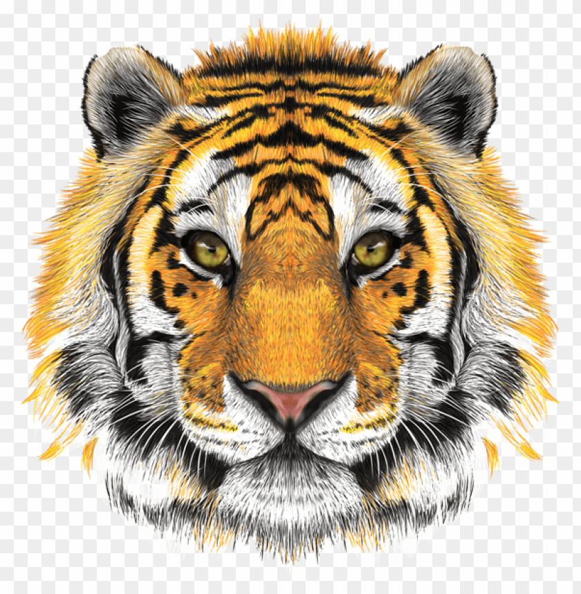 Download tiger head transparent png - Free PNG Images | TOPpng