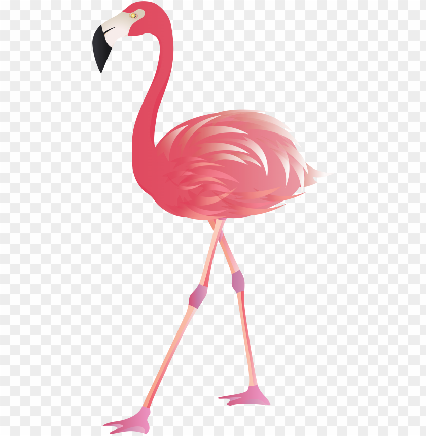 Free Download Hd Png Transparent Background Flamingo Clipart Png