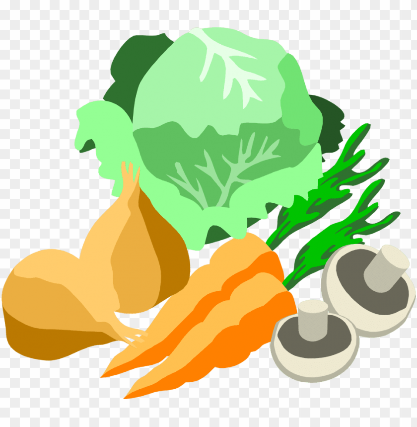 Free download | HD PNG transparent background vegetables PNG ...