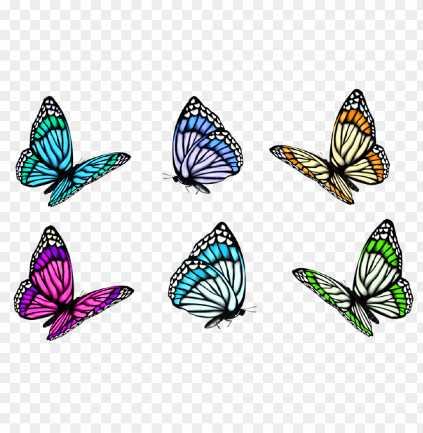 Free download | HD PNG transparent butterfly set clipart png photo ...