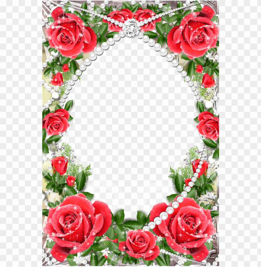 Free download | HD PNG transparent delicate frame with red roses ...