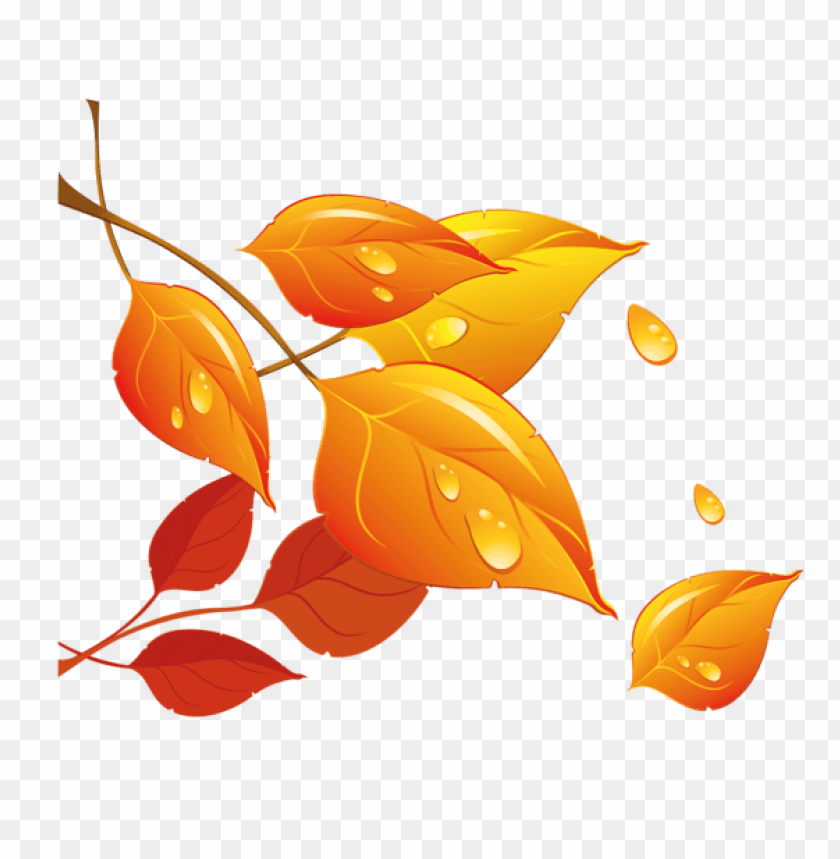 Free download | HD PNG transparent fall leaves clipart png photo ...