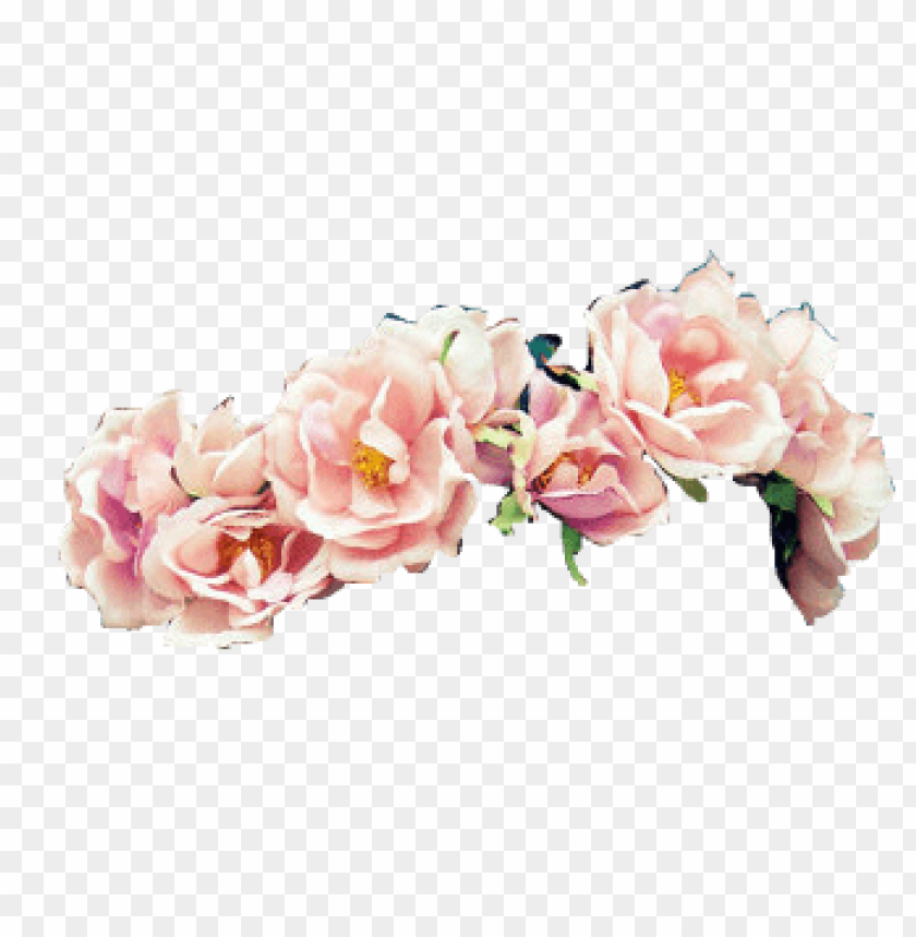 Download transparent flower crown png png - Free PNG Images | TOPpng