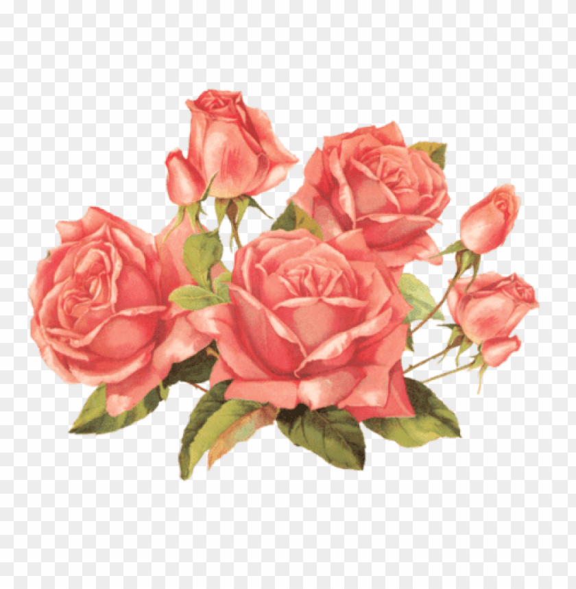 Transparent Flower Tumblr Png Image With Transparent Background