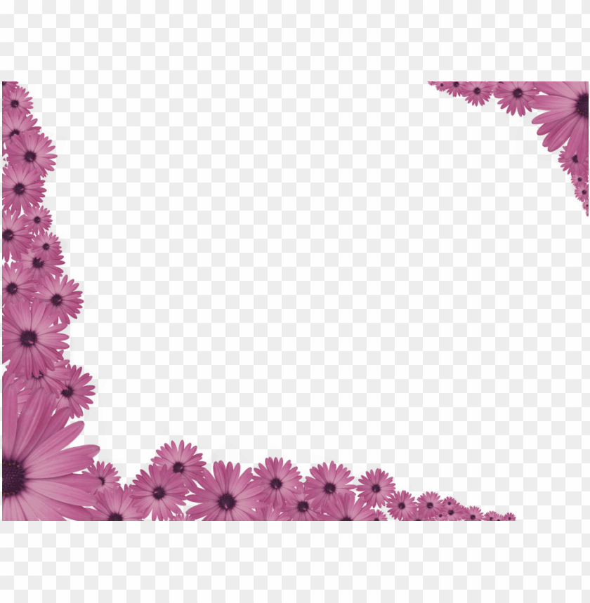 Floral Border Design Png Hd - iam hana banana