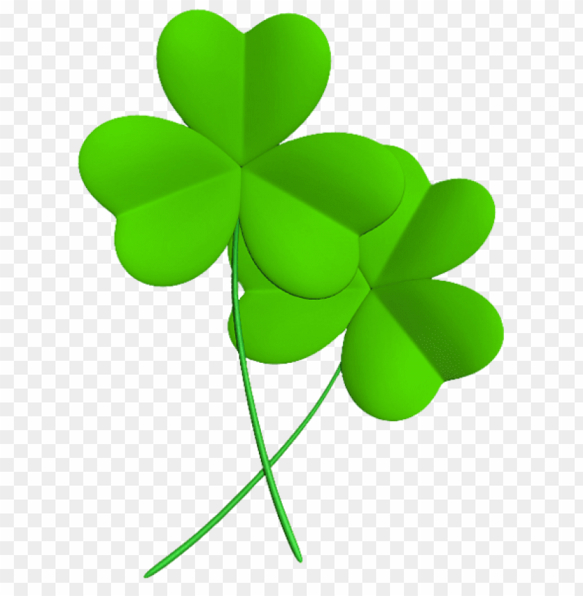 Free download | HD PNG transparent shamrockspicture png images ...