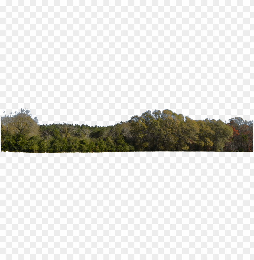 Free download | HD PNG transparent stock png for free download on ...