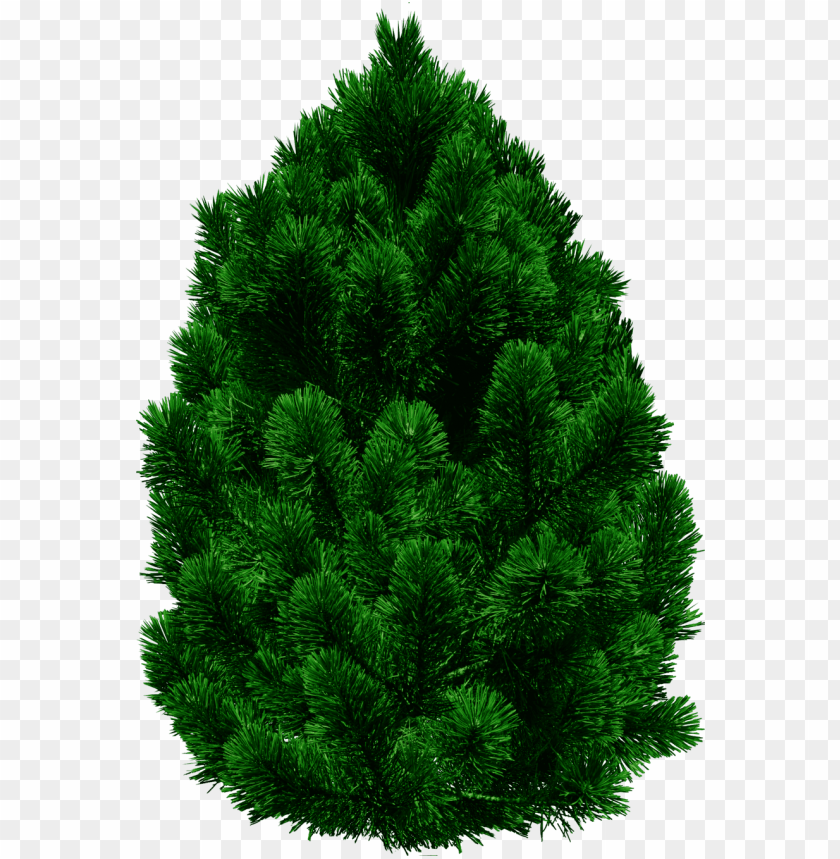 Free download | HD PNG PNG image of tree with a clear background ...