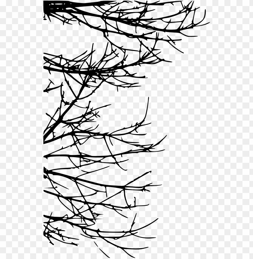 Free download | HD PNG Transparent tree branch PNG Image - ID 4196 | TOPpng