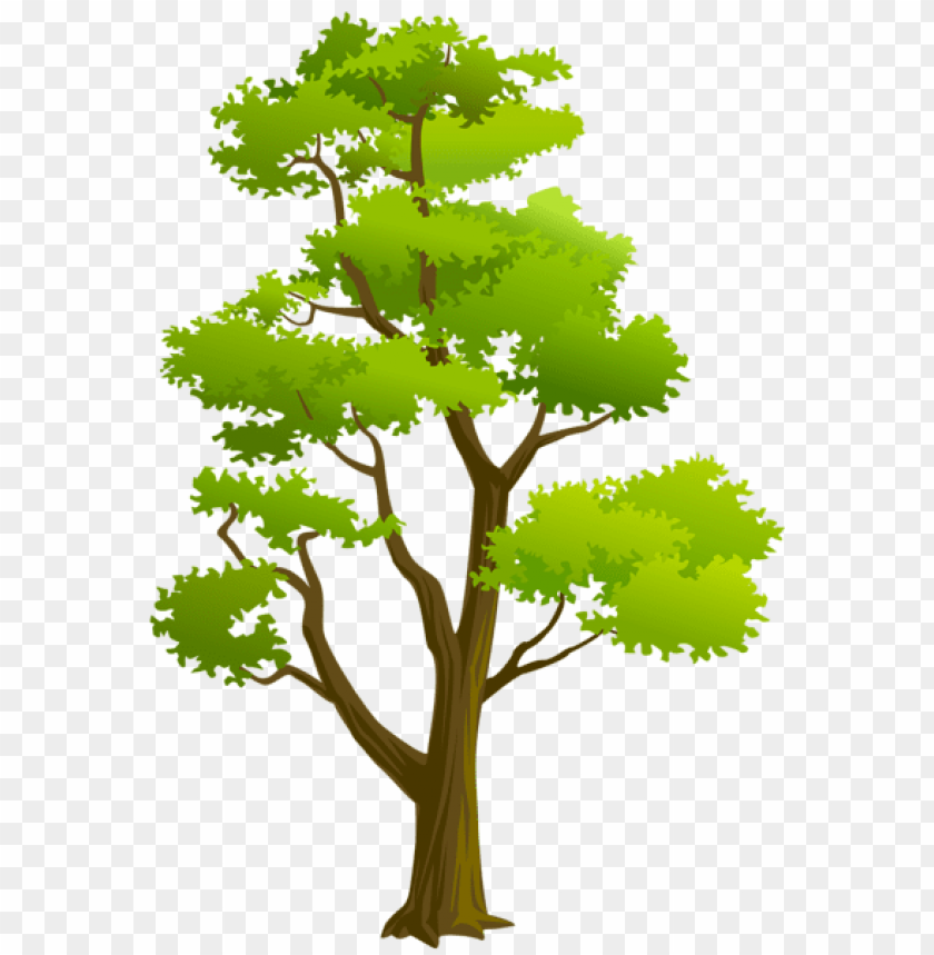 Free download | HD PNG PNG image of tree with bright green canopy with ...